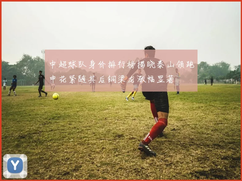 中超球队身价排行榜揭晓泰山领跑申花紧随其后铜梁龙涨幅显著