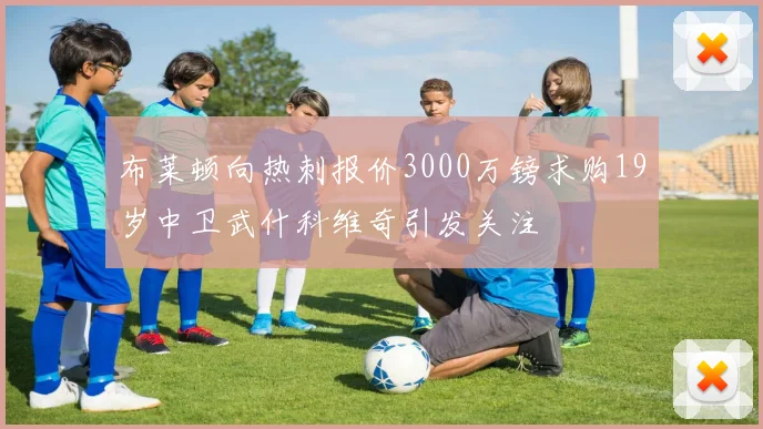 布莱顿向热刺报价3000万镑求购19岁中卫武什科维奇引发关注